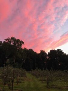 Enchanting-Indian-Orchards-Farm-Media-PA